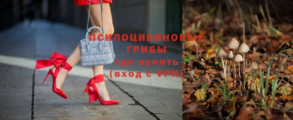 твердый Армянск