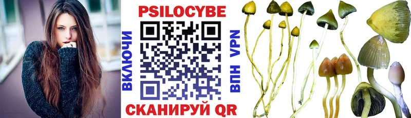 Галлюциногенные грибы Psilocybine cubensis  ссылка на мегу сайт  Боровск 